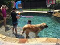Kids_6-2016_PoolwDez (65)_Edit